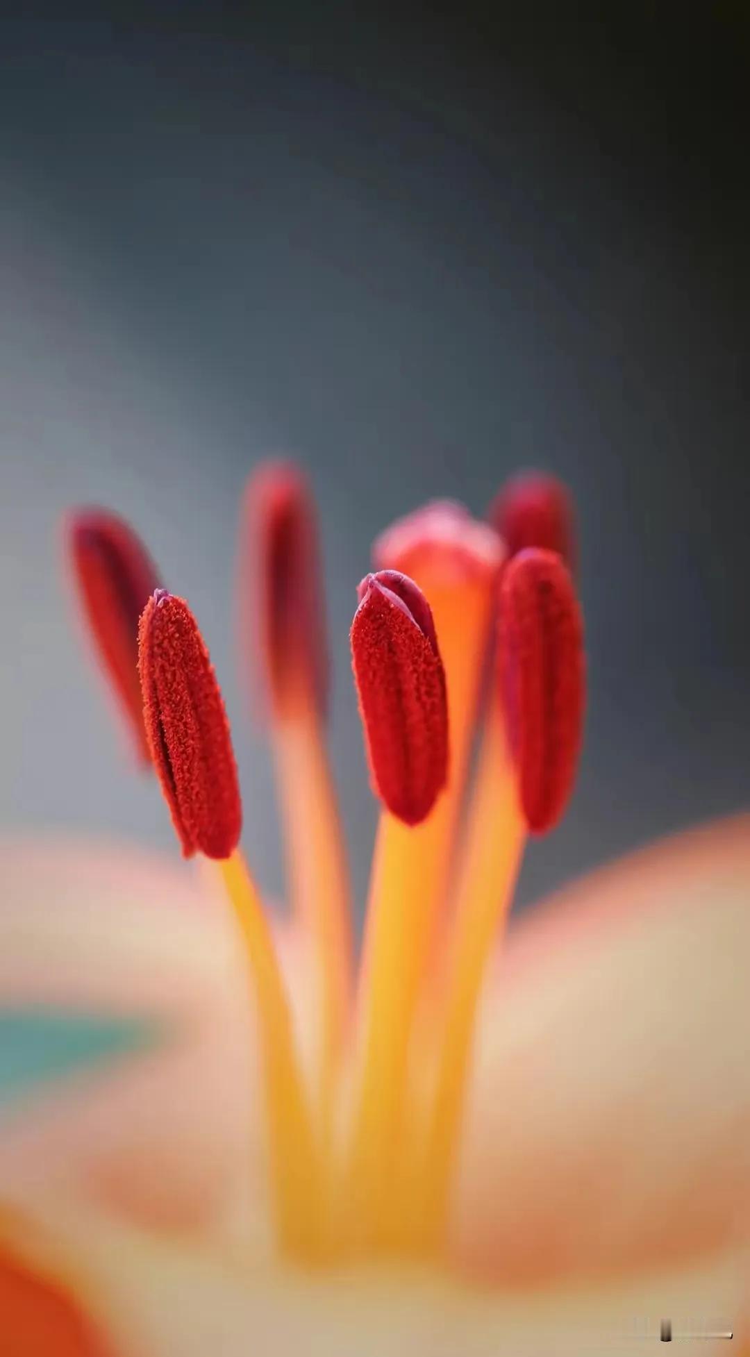 中年不是下坡路！张晓磊直言这才是人生最通透的阶段
 
人到中年总被贴上走下坡的标