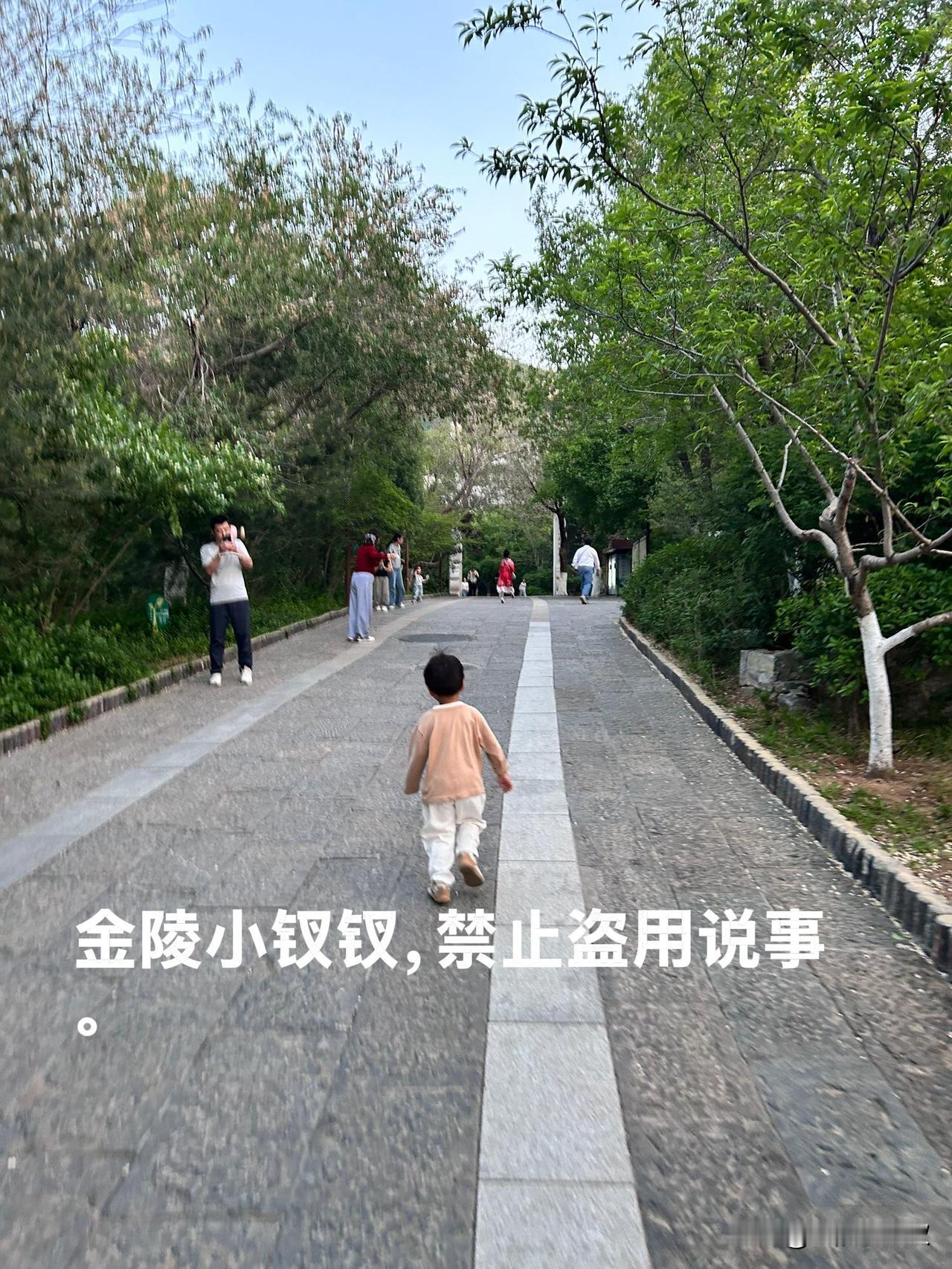 又是一个周末，下午睡起觉来，傍晚一家人去了佛慧山，空气清新怡人，孩子们在山路上奔