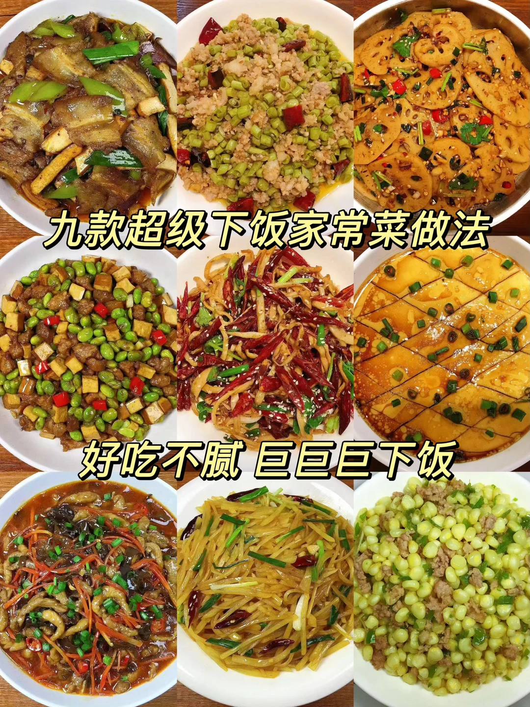 分享九款家常下饭美食类合集，每一款都能惊艳到你，真的太费米饭了！ 喜欢的朋友们赶