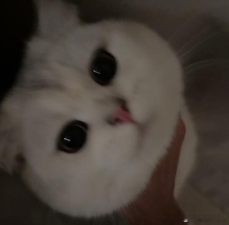 我的bb好可爱啊啊啊啊啊 ​​​