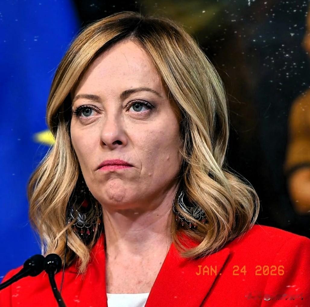 梅洛妮呼吁欧洲保持冷静必须妥协！意大利美女总理梅洛妮在22号布鲁塞尔闭门会议上私