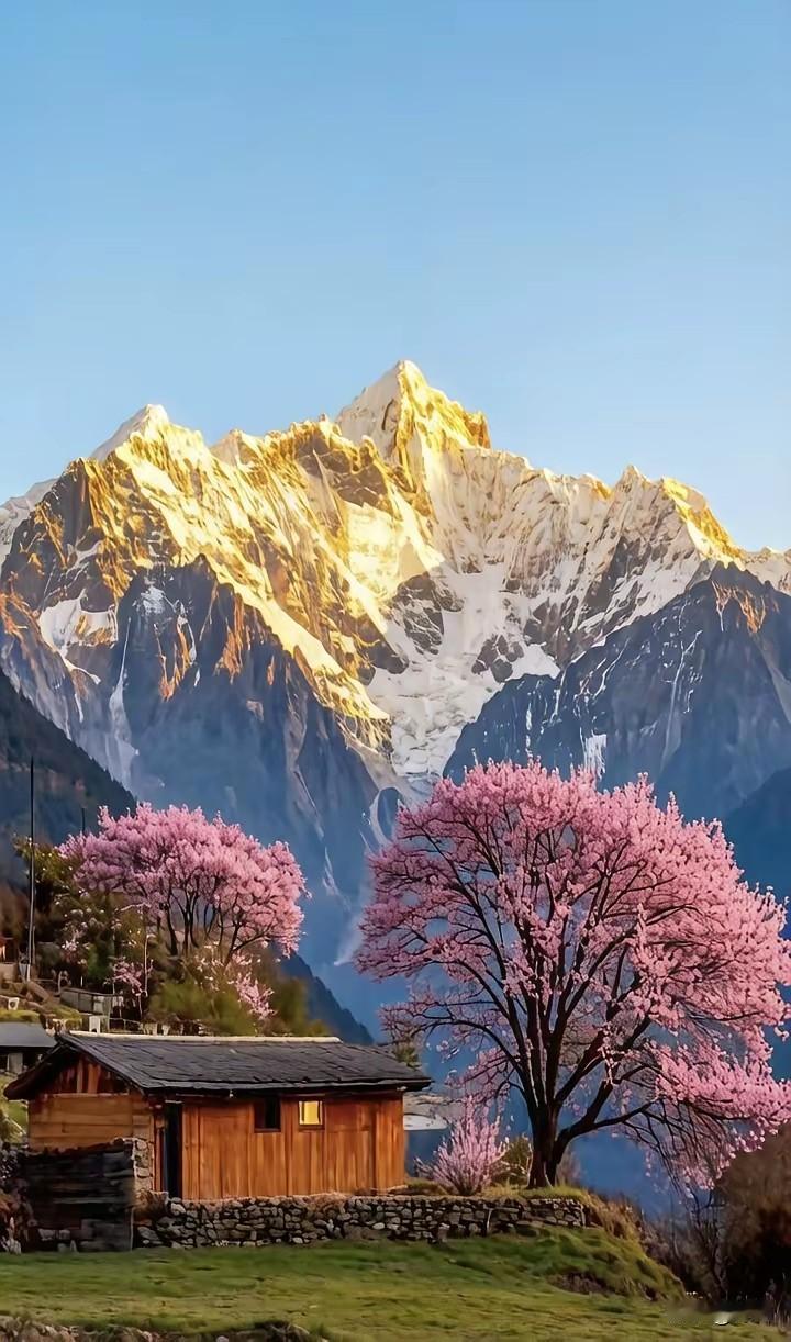 戒掉弱气，做个内心够狠的人
 
1. 对自己狠，才是根治弱气的唯一办法
弱气不是