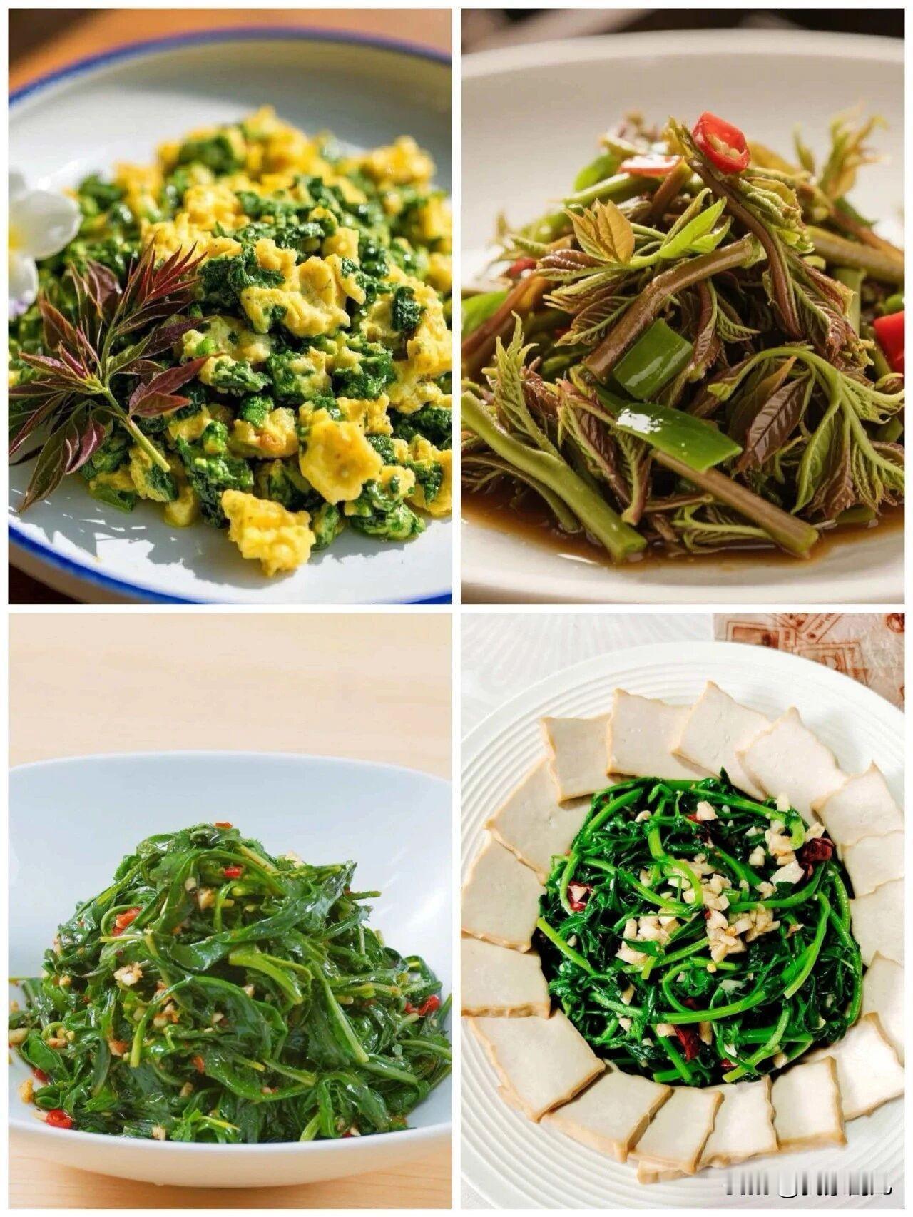 甘肃省武都地域辽阔、植被丰茂，每到春季，山坡林间、田埂地头，随处可见鲜嫩欲滴的山