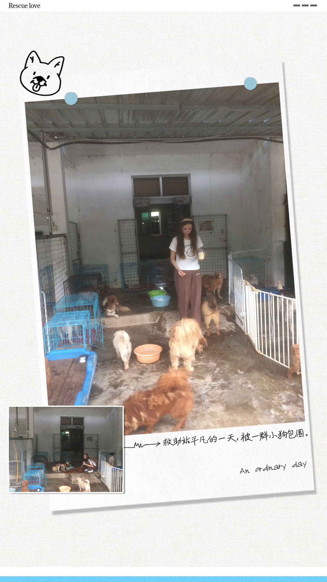 程潇 cx程潇嗨放派cx程潇开始跳舞吧晚霞与玫瑰共绘浪漫 你是我藏在心底的爱意泛