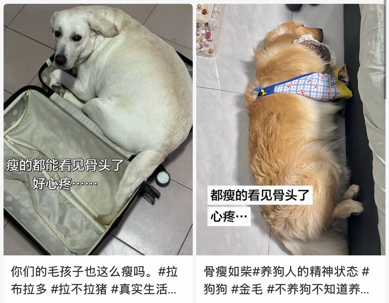 我觉得我哥哥妹妹可以拍这个 ​​​