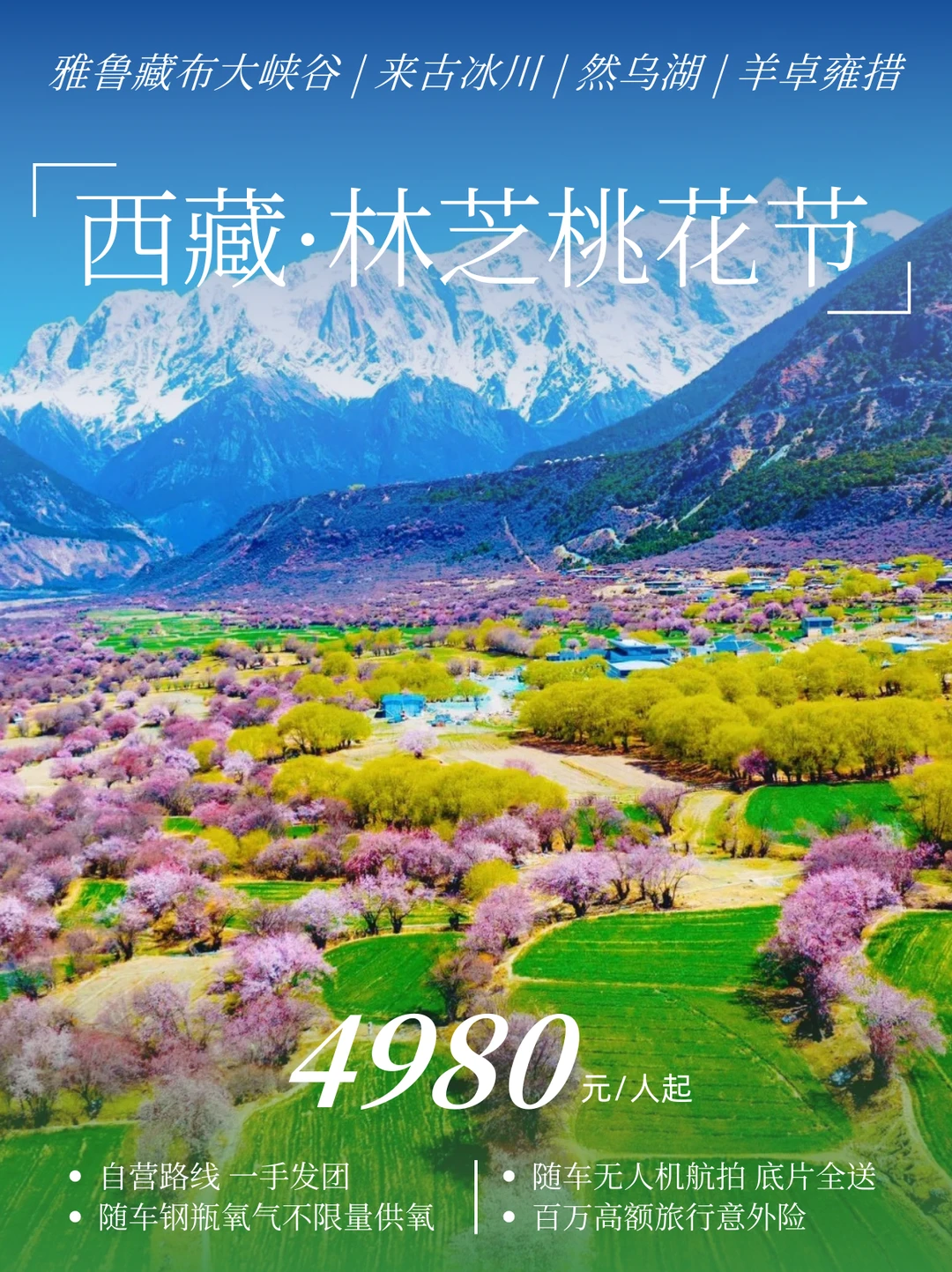 🌸3月最合理的林芝看桃花规划 完全不高反