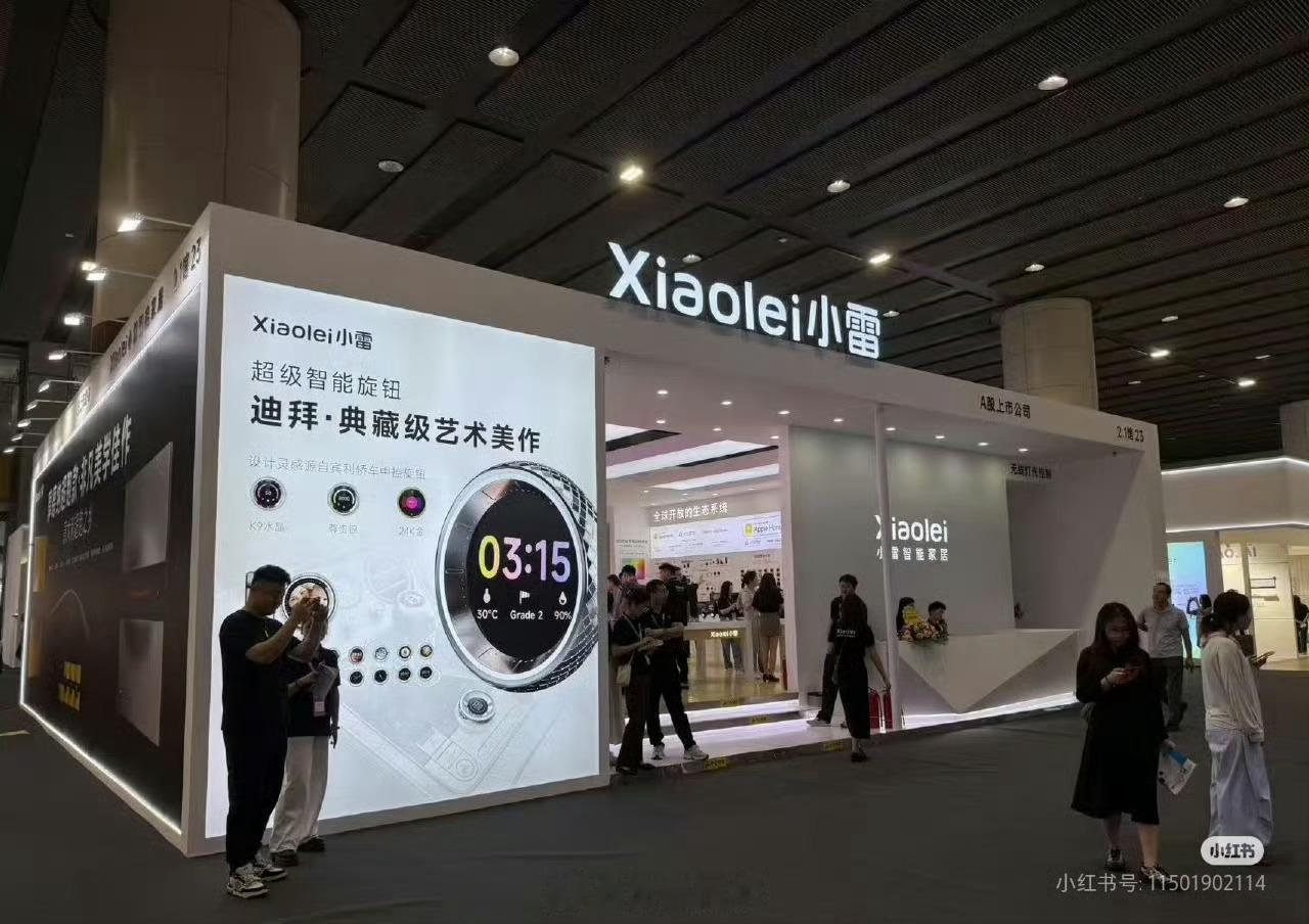 什么鬼，小雷？[允悲]小鹏其实还好，现在蹦出来个小雷，未来还有小什么[并不简单]
