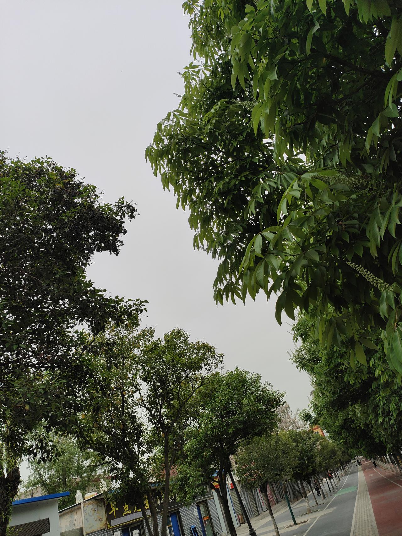 往后余生，别为难自己，别辜负岁月。被爱温暖，学会释怀，才能把日子过得从容自在，才