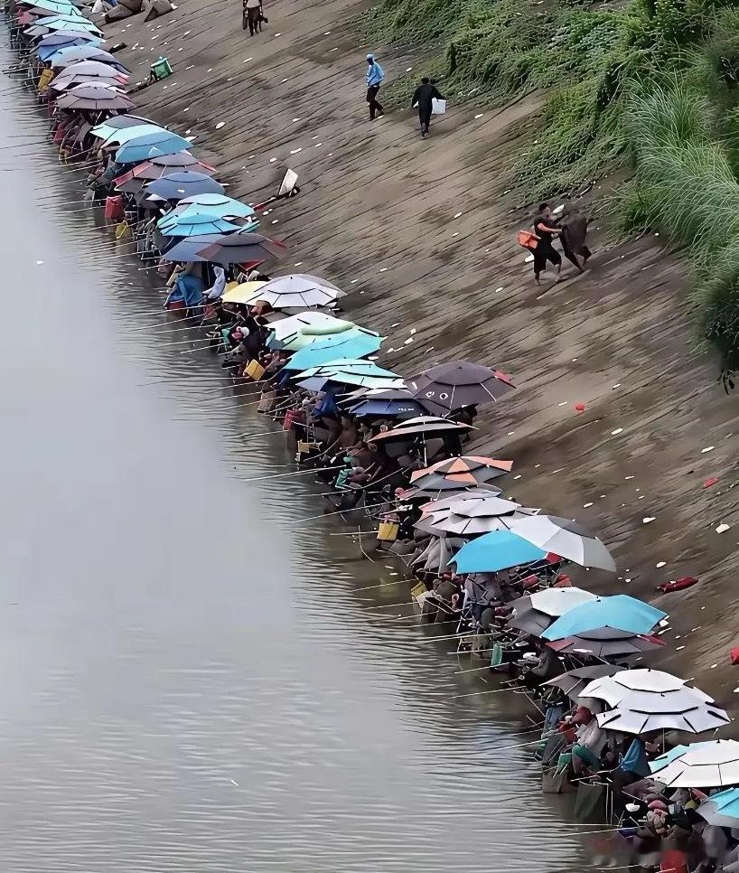 在这卖水是不是好生意 