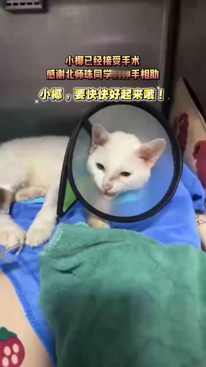 小椰已经接受手术，感谢北师珠同学的伸手相助。小椰，要快快好起来！
