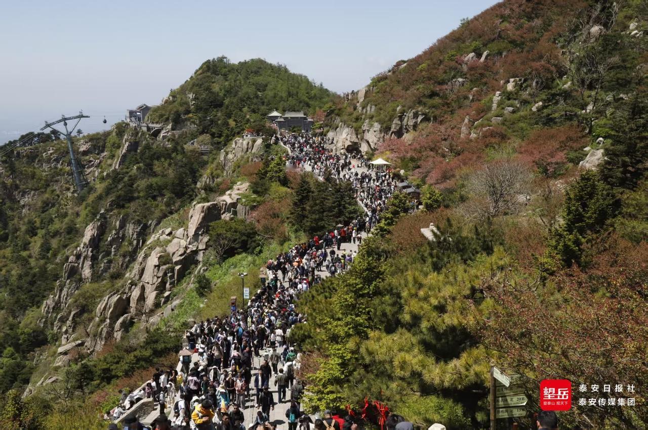 五一泰山挤到崩溃！民宿老板赔到想哭，最暴利的生意简直离谱
 
五一泰山，彻底被人