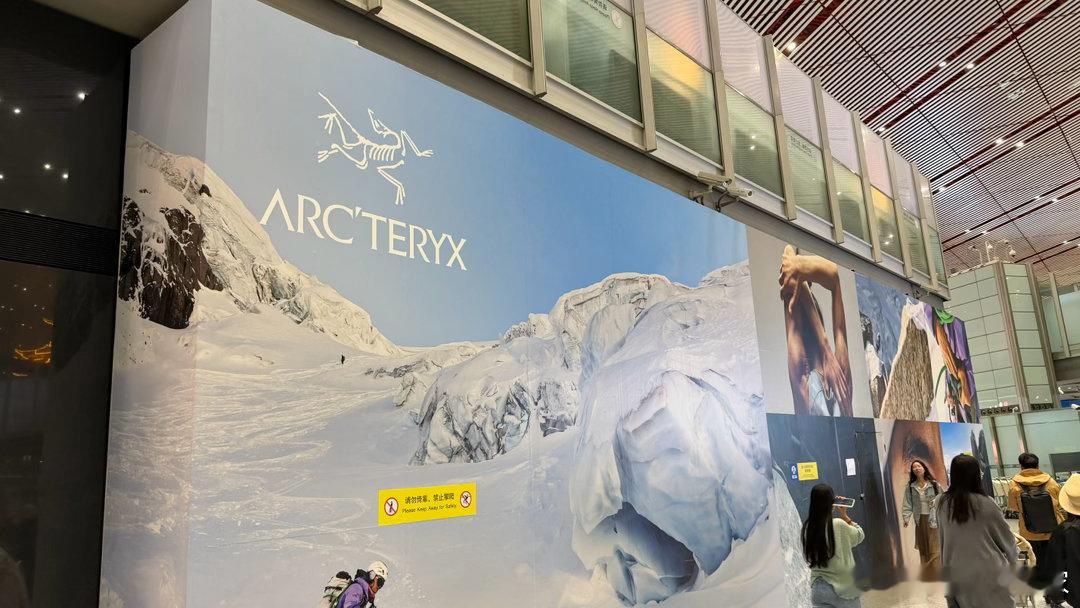 鸟也来首都机场T3了，挨着之前那家秋裤店 北京·首都机场T3航站楼