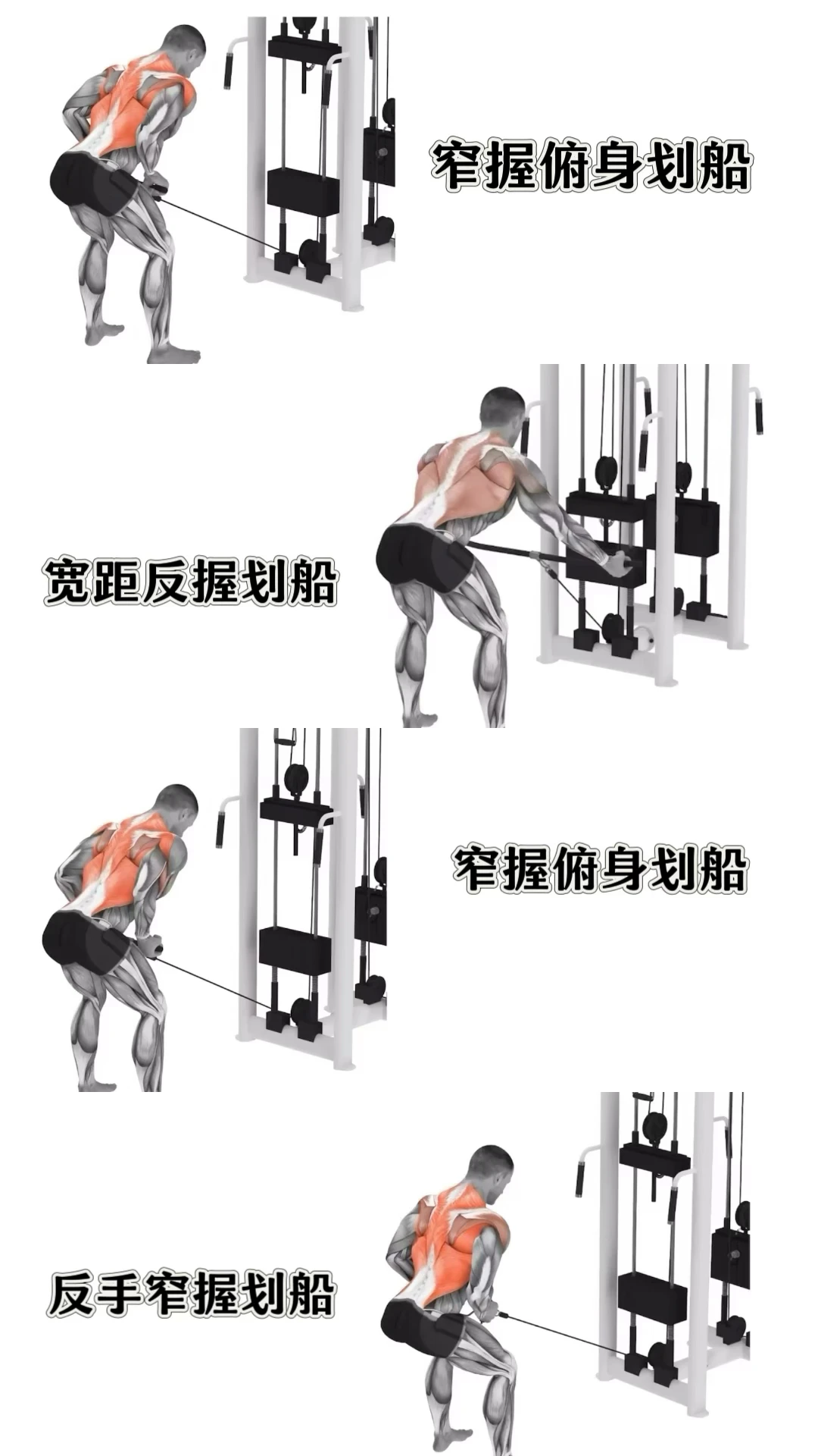 🔑划船练背核心：握距+俯身姿态