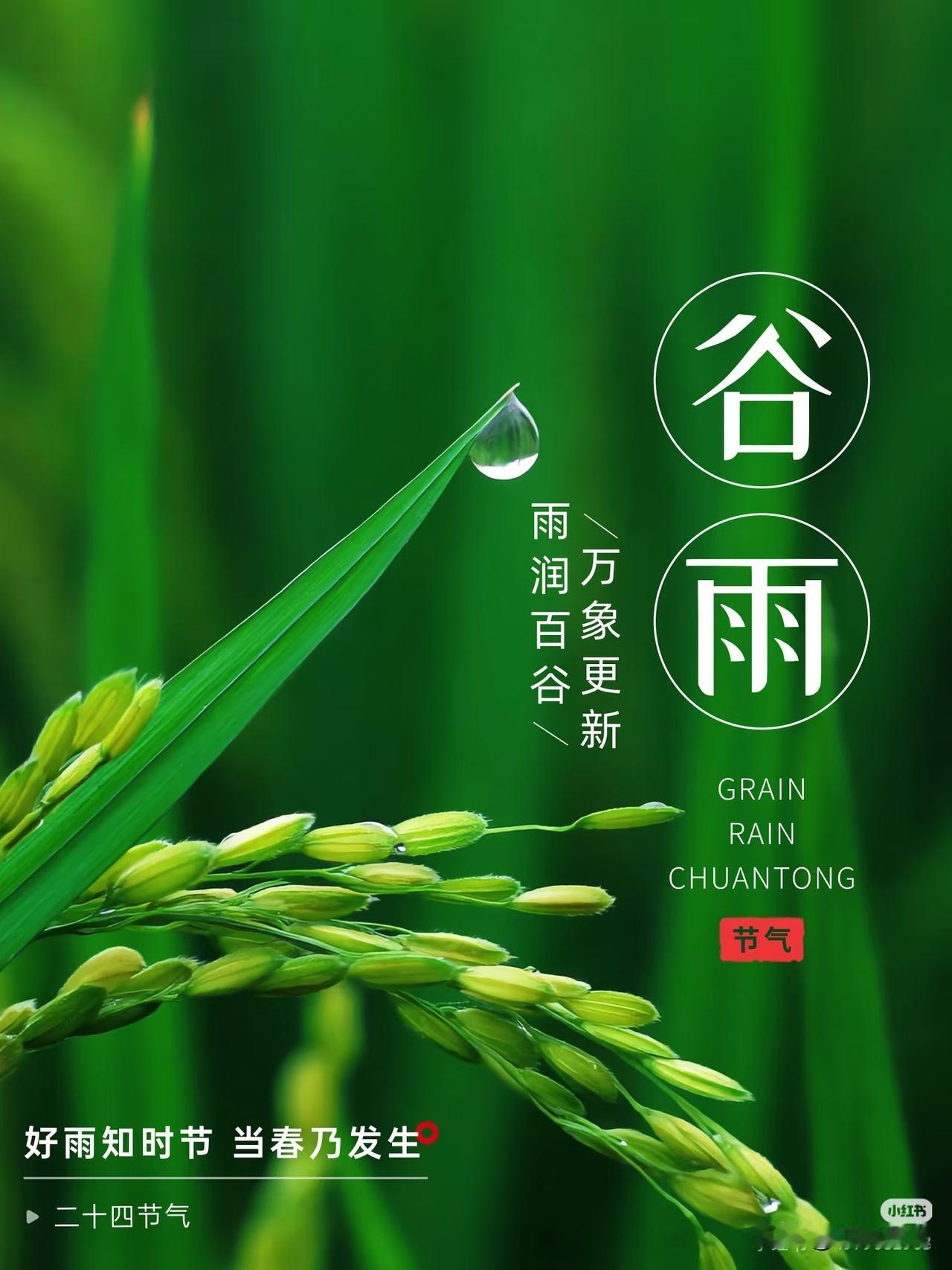 雨润百谷，万象更新。
今日谷雨。