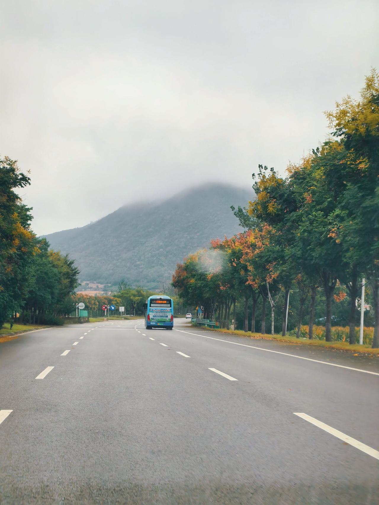怎么搞的，一场秋雨，宿州也有点大山里的感觉了