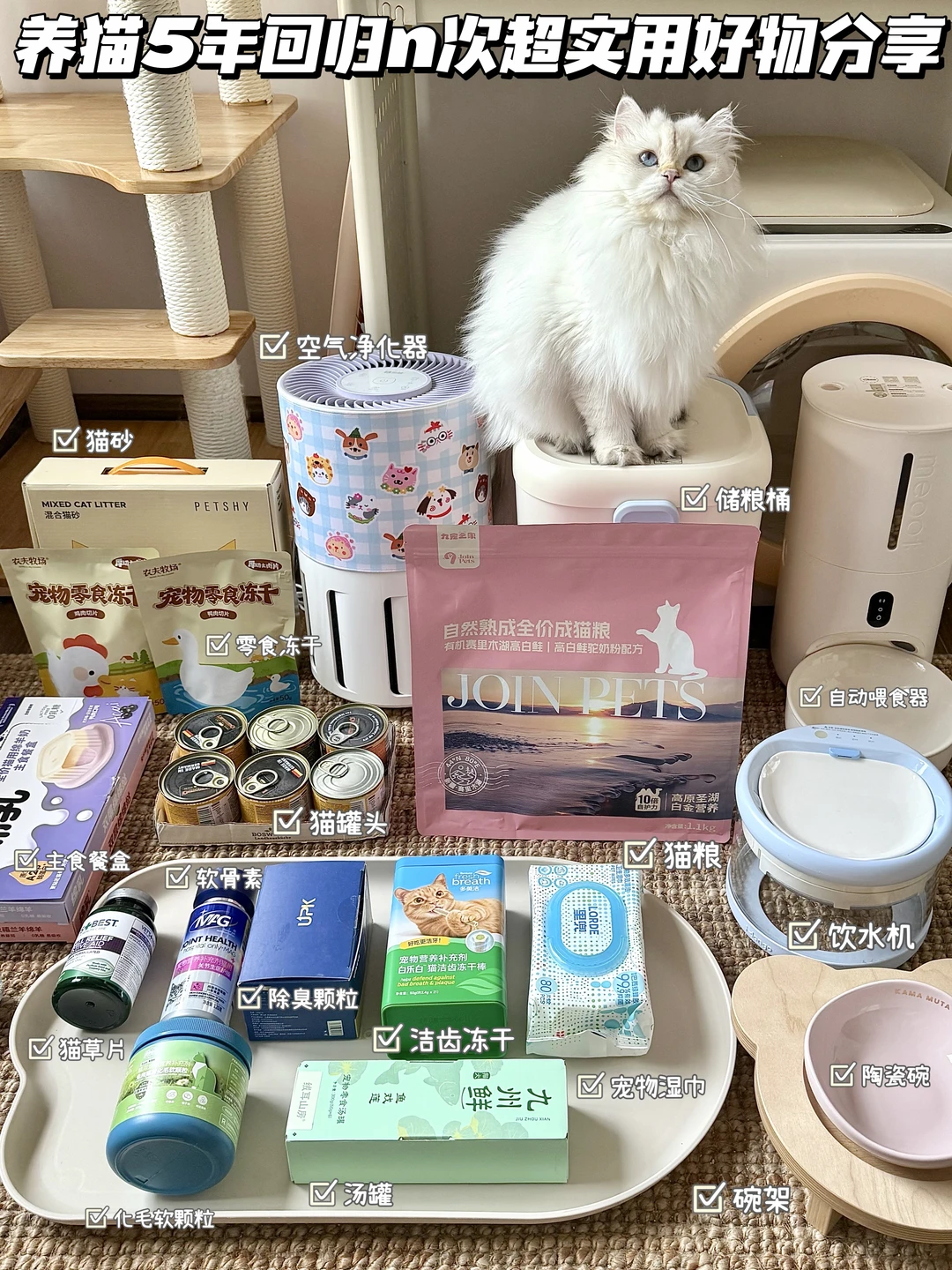 超详细攻略｜养猫5年实用养猫好物分享