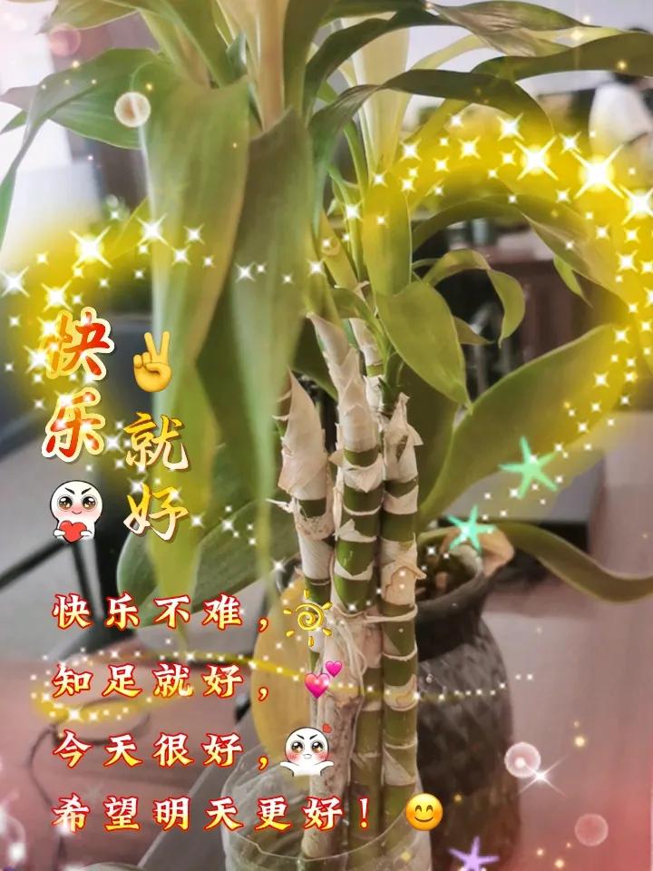 张嘉益给董宇辉做的那碗饸饹面，估计比啥心灵鸡汤都管用。
 
陕西人待客，最实在的