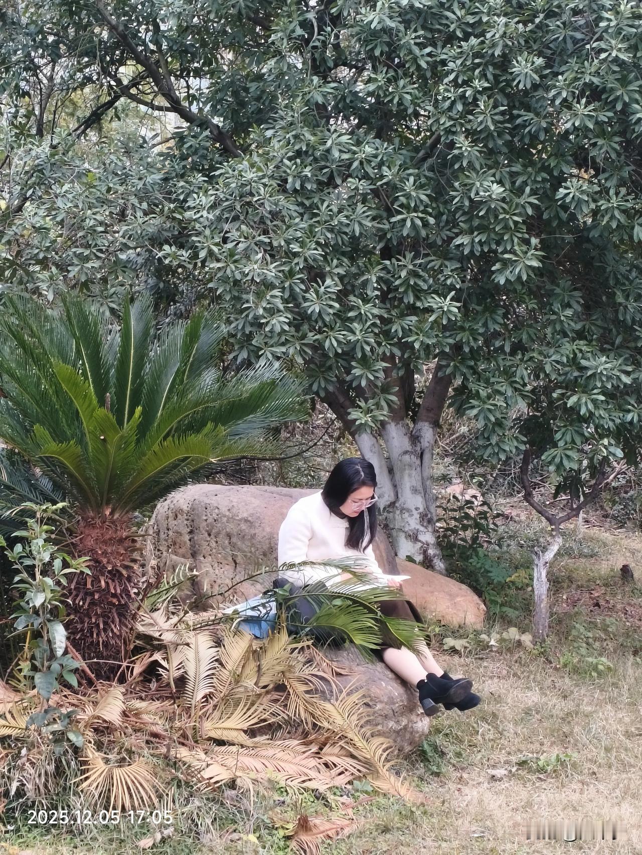 暖冬时节，白衣女子倚石而坐读书的场景，就像一幅诗意画卷，如今确实难见了。
在快节