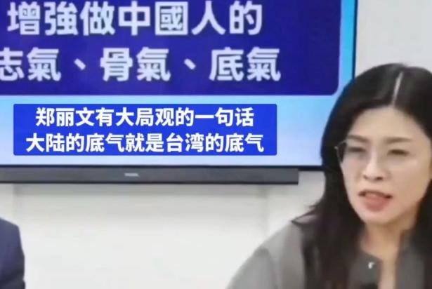 郑丽文放大招，四大“统派”副主席集结，九大实力派系“共治”，喊出“大陆的底气就是