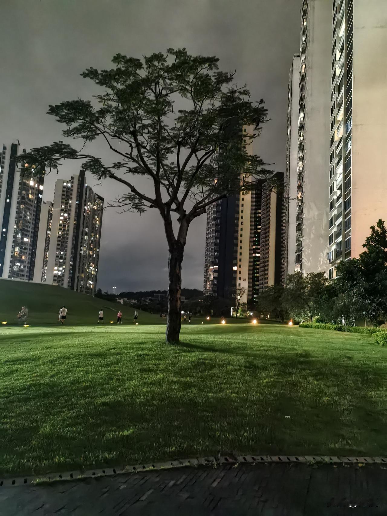 中年失业第50天，有人劝我再婚，可我哪敢？
 
失业的第50天，日子依旧一地狼藉