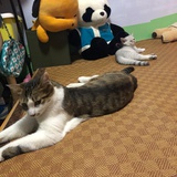 朗爱读生活服务