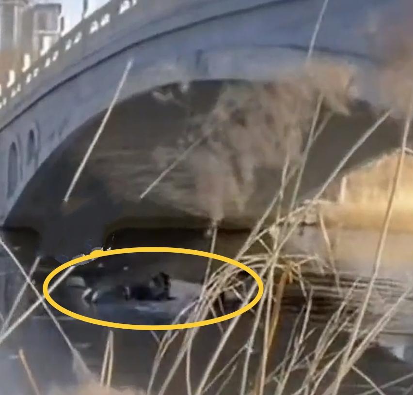 天津这位父亲的义举，改变我对天津男人的看法！

面对落水儿童，他义无反顾，跳入冰