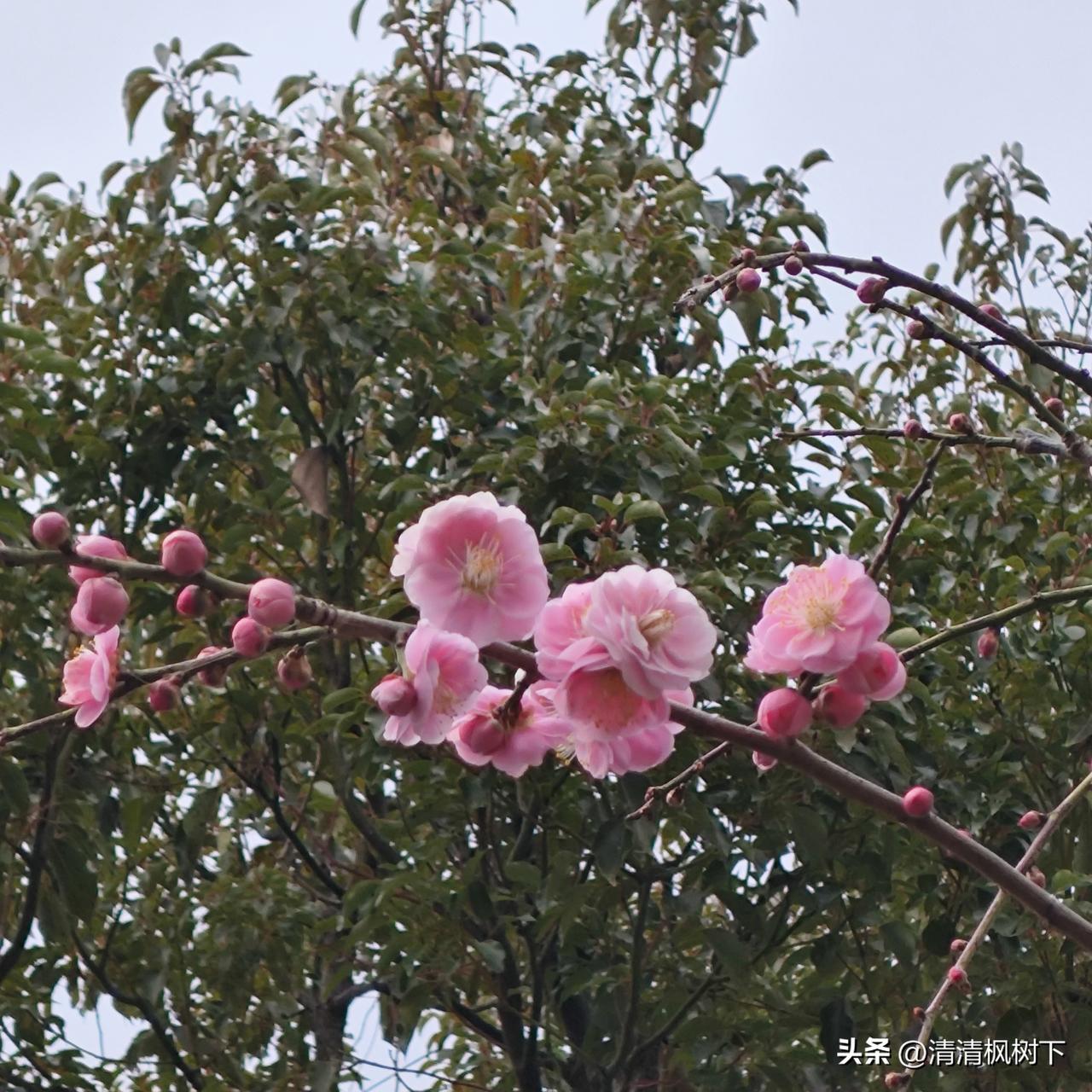 老屋楼下渗水沟通解决问题记录（五）

这两天一直写的这件事，前天（4月6日）中午