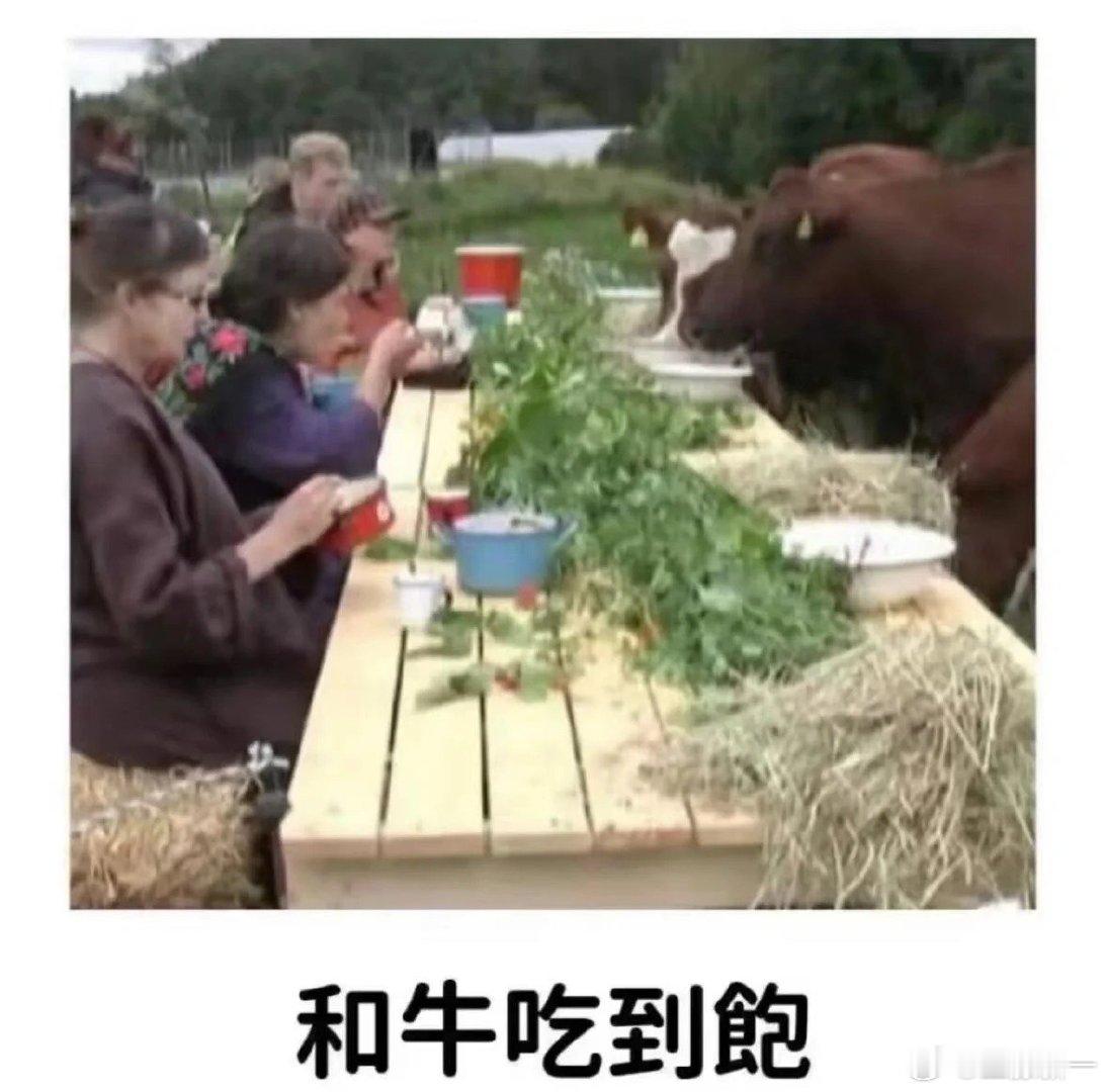 你就说是不是和牛吧#搞笑# ​​​