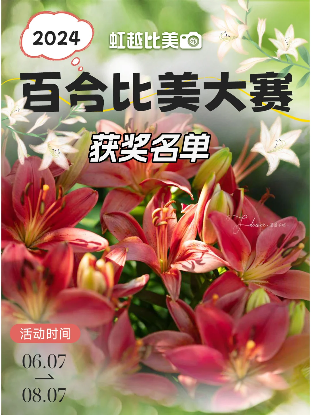 2024百合比美大赛获奖名单来啦！