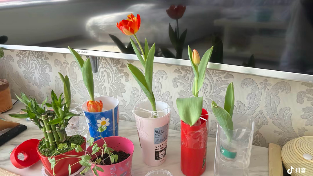 一代人有一代人的DIY 