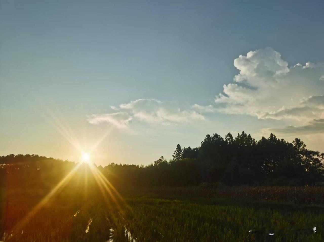 万物皆有裂痕，那是光照进来的地方。
你手机里最美的一张风景照是什么? 张张都是风