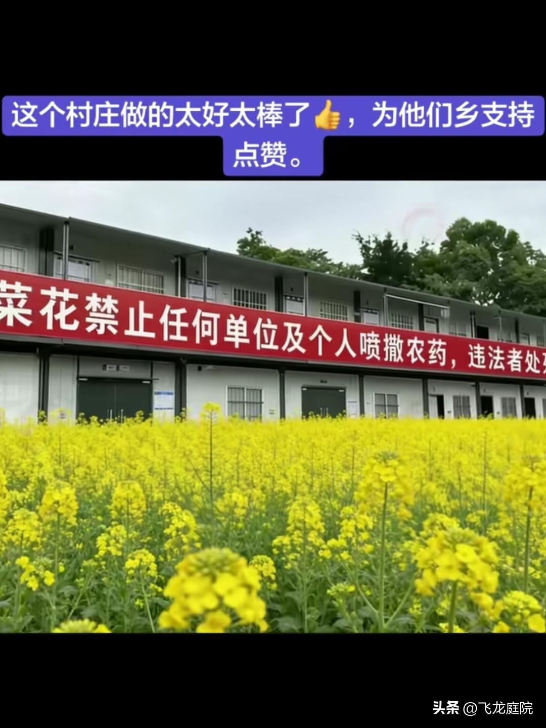 @迎: 弄一个长竹竿上面放上几米的绳带上一个瓶子，瓶内装上土，就可以把无人机拉下