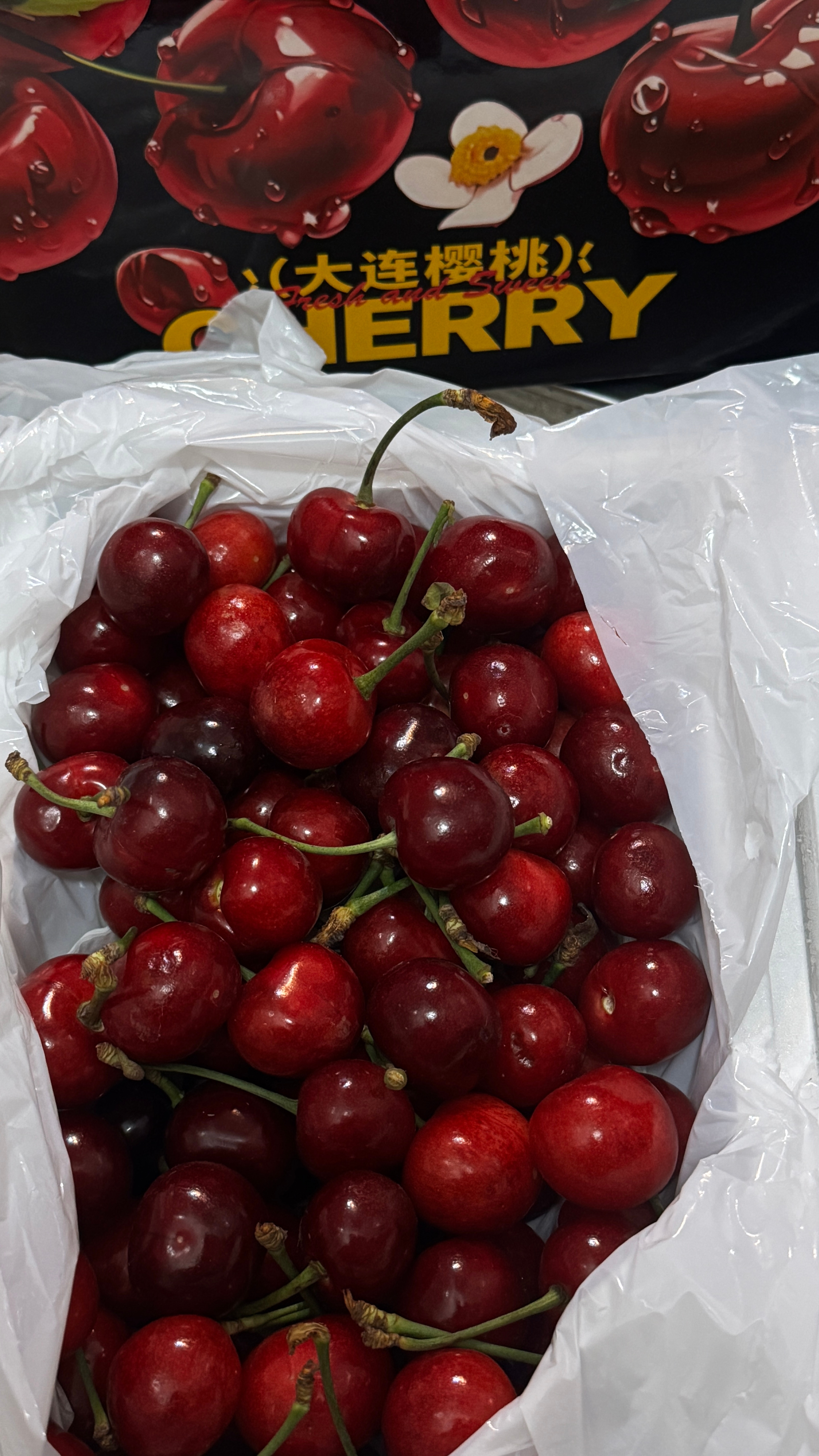 今天的救赎🍒～！ 