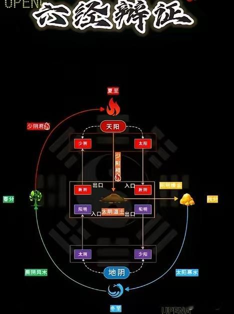 六经辨证图里藏着的生死门：老中医一眼看透你身体的“火”与“水”这图看着玄乎，可我