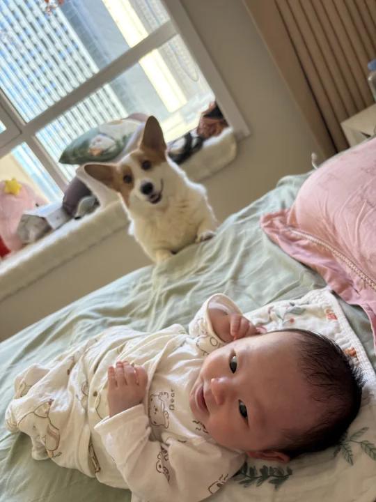 小狗和人类幼崽第一次见面🤣