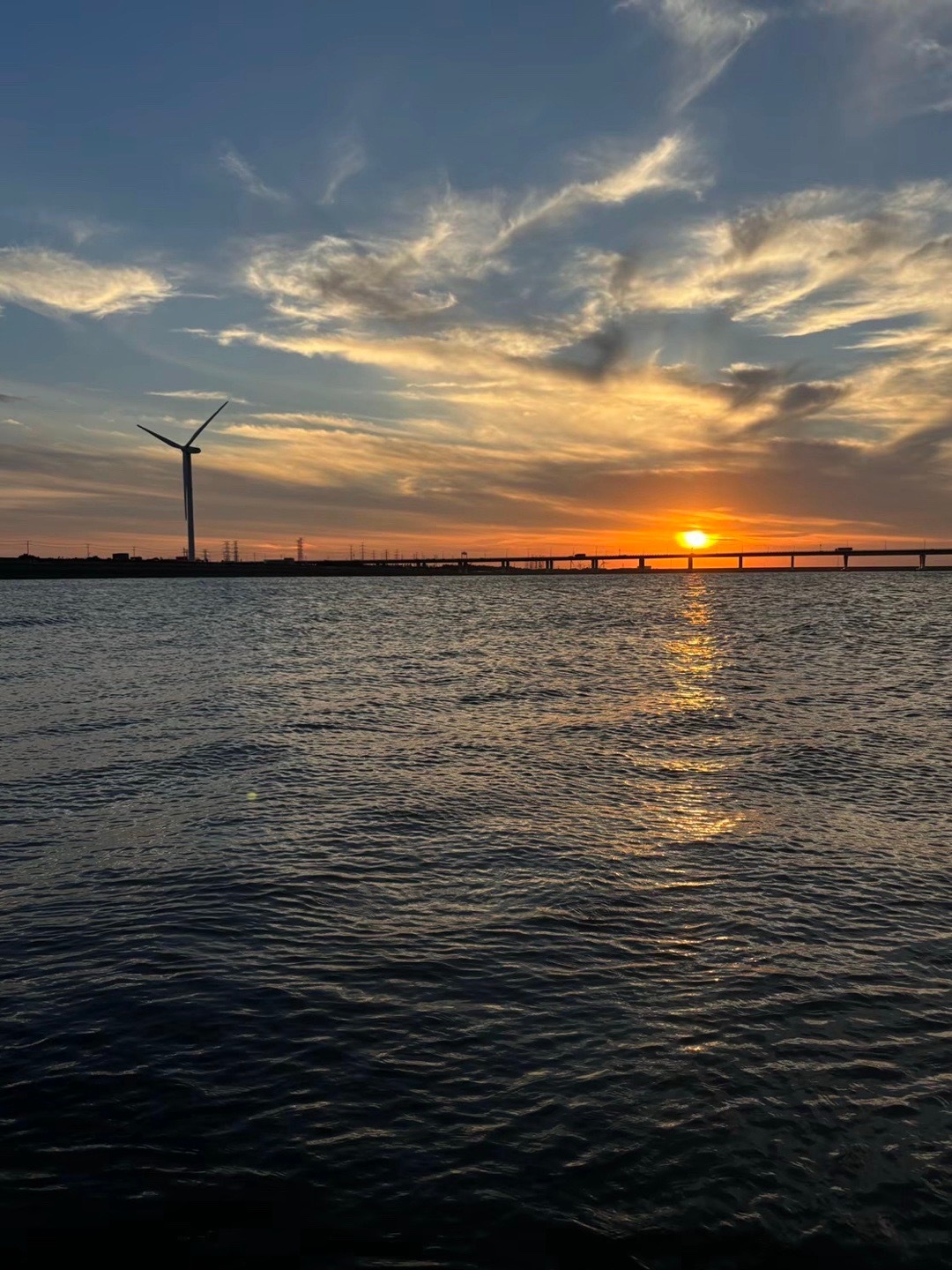 当我鼓起勇气再去买花时才发现花店早已变成咖啡店 