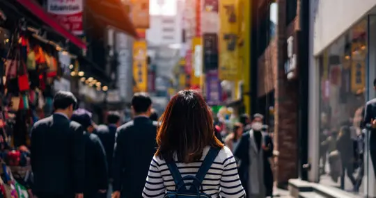 日本调查报告