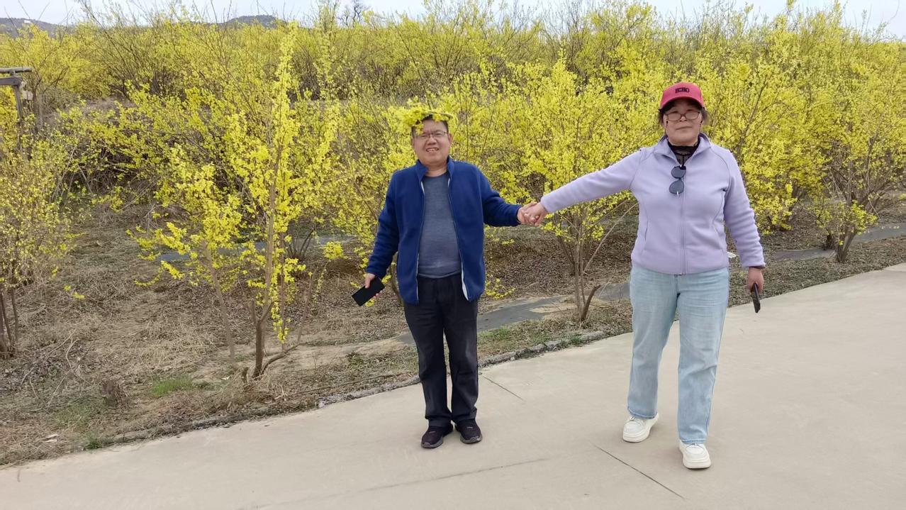 又是一个全网晒花晒包的日子，友友们，你们有的晒吗？反正我今天可是有的晒，尽管这不