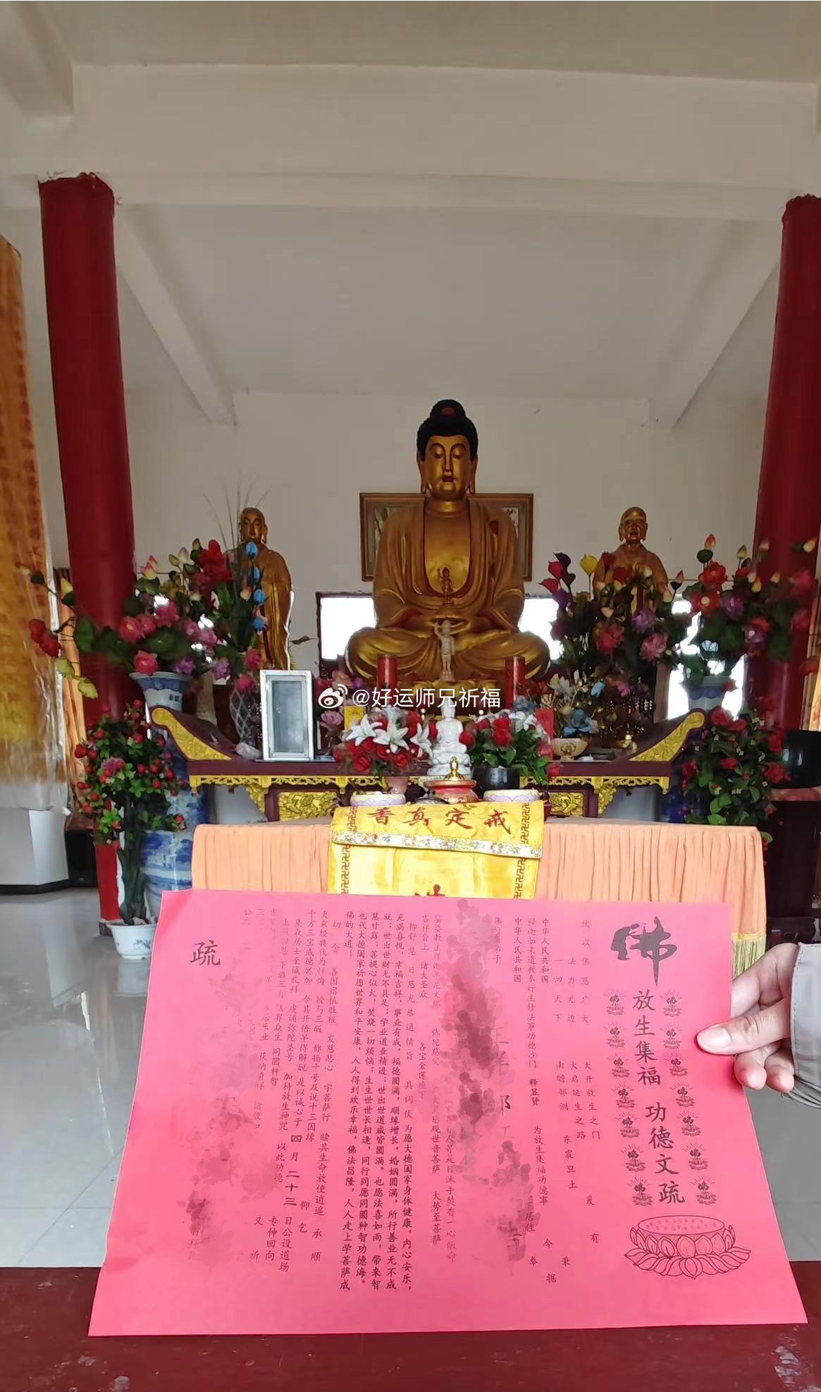 四月初八（5月23日）释迦牟尼佛圣诞日放生回向，一愿善缘家庭和睦，幸福安康；二愿