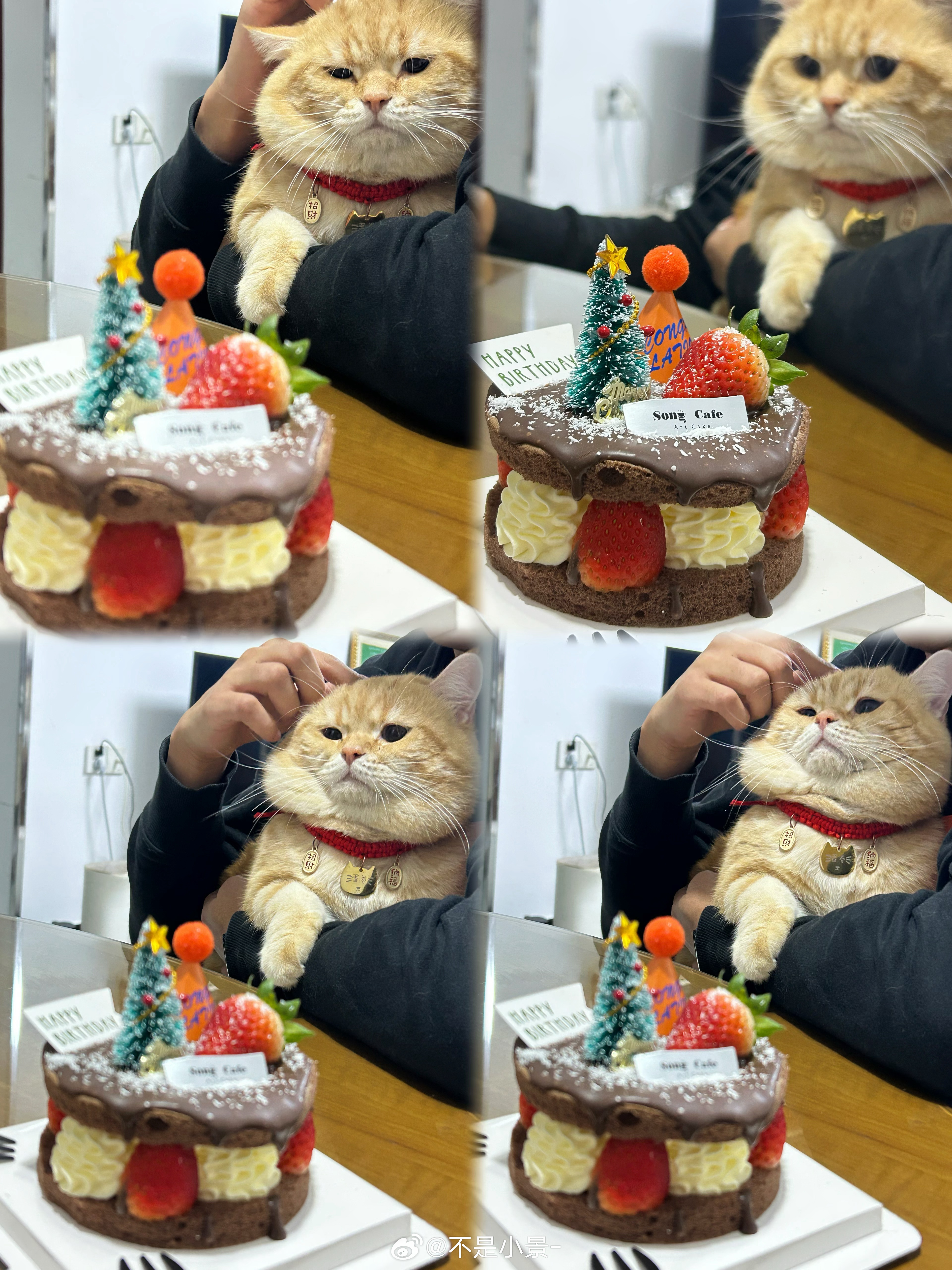 家有二宝 ​​​