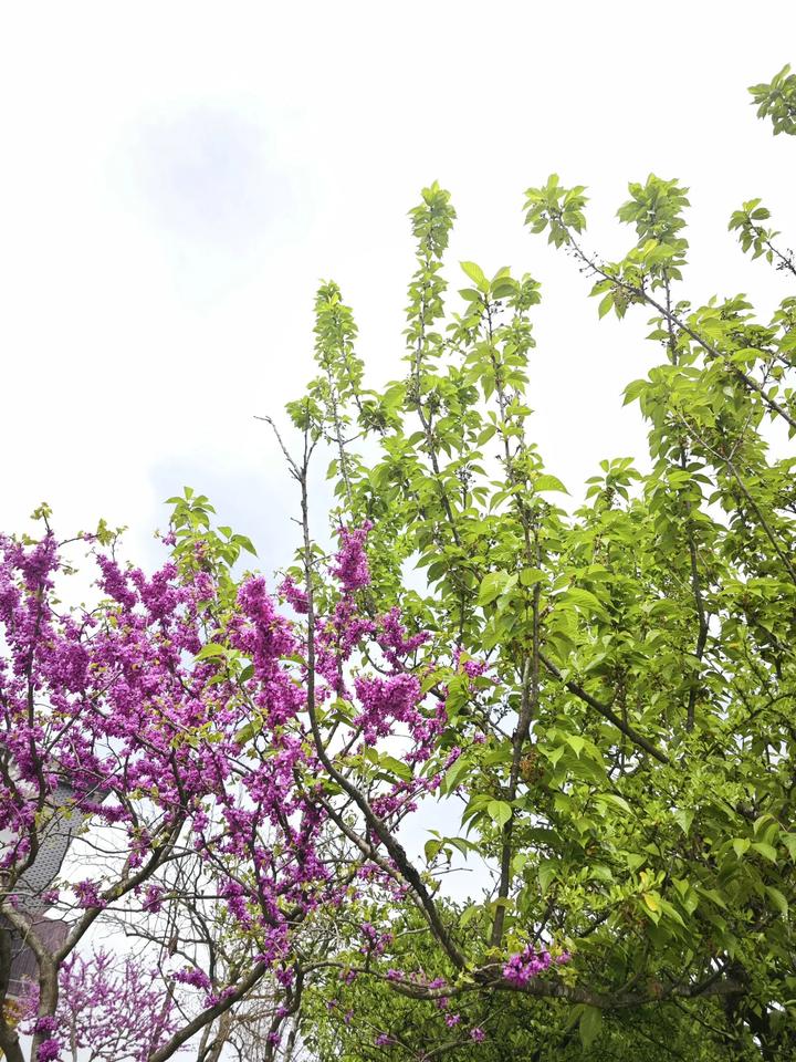 一个人的觉醒，
1%靠别人提醒，99%靠千刀万剐。