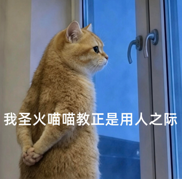 “你说那只负鼠吗，已经被我干掉了”  负鼠表情包