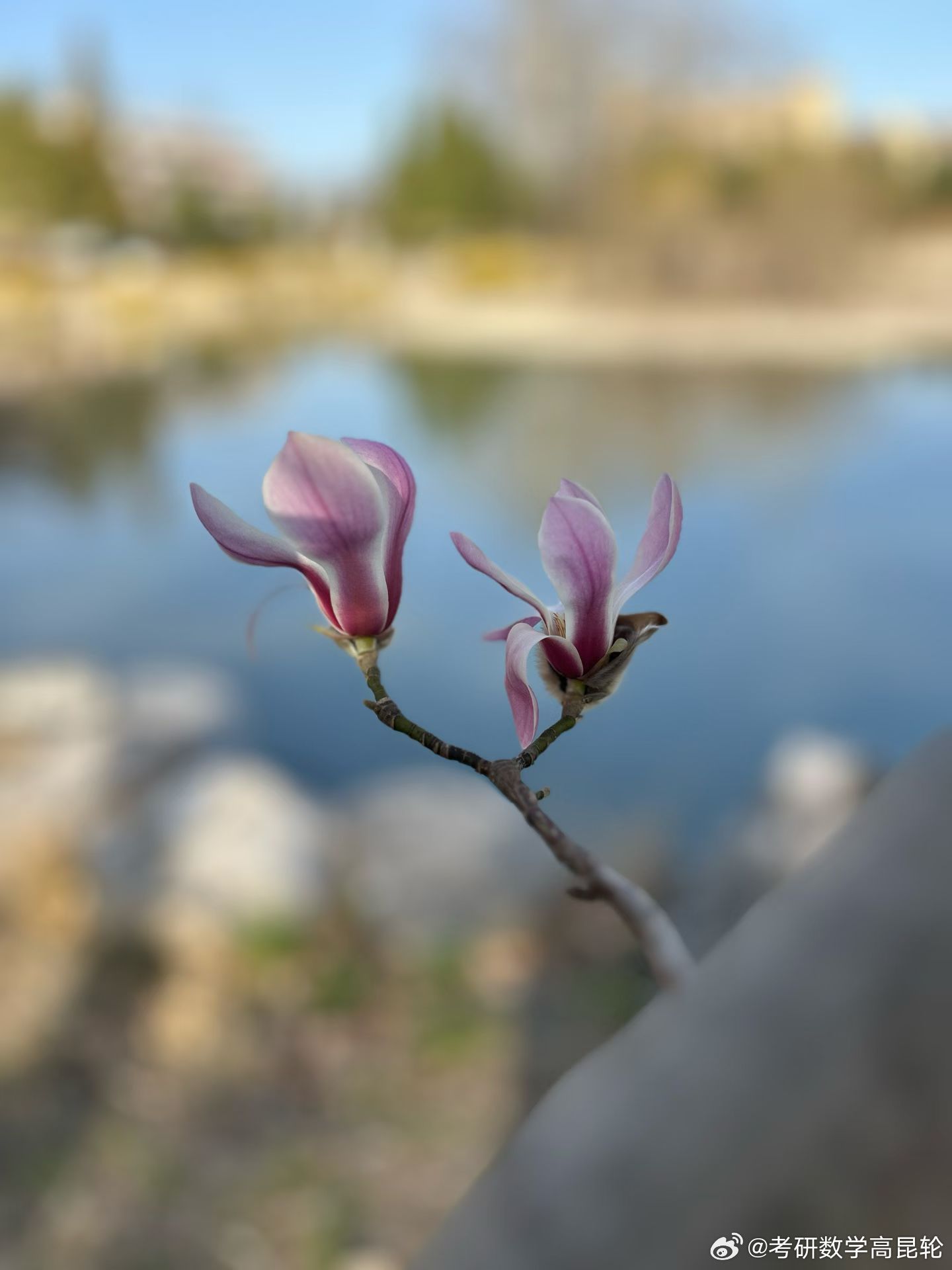 万物复苏！拥抱春天