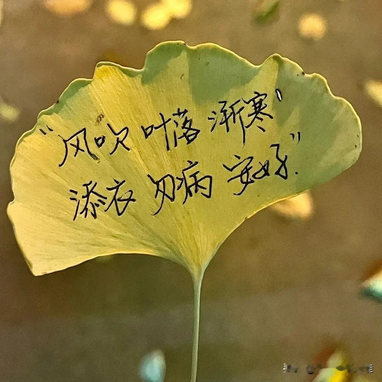 岁月款款而来，我们从容以待。静中无妄念，忙里有欢喜，度四季，也度自己。🍂