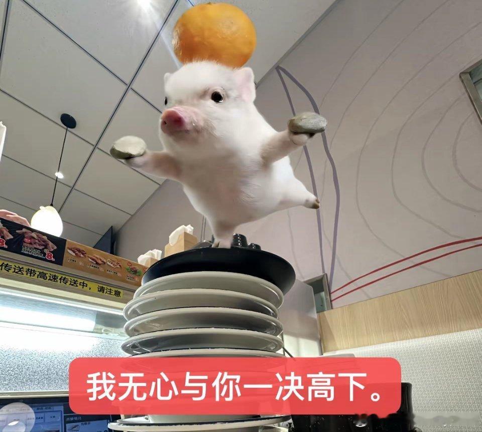 分享图片 