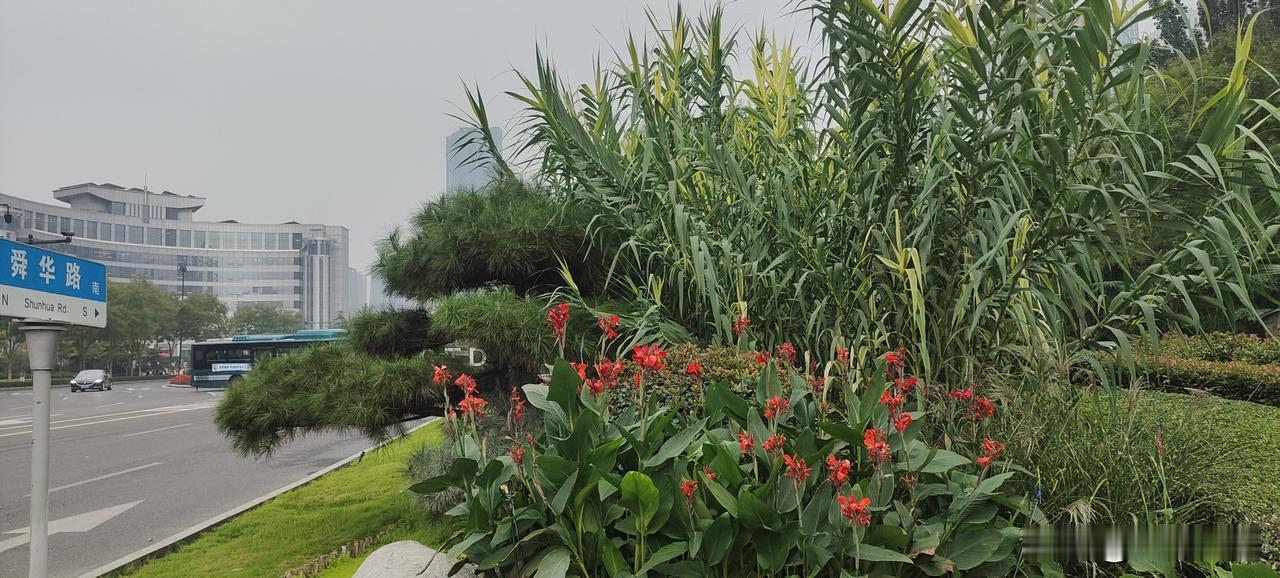 冬天的脚步近了！