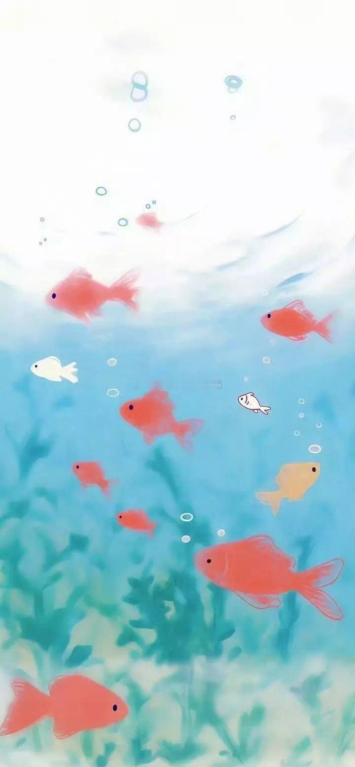今日🈚投稿，大家早早早鸭~[送花花][送花花] ​​​