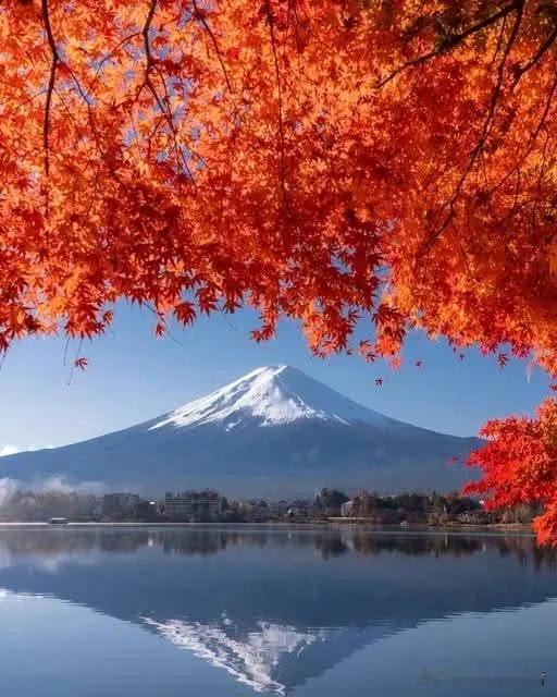 周国平老师《人生哲思录》学习笔记三


在青年时期，人有虚荣心和野心是很正常的。