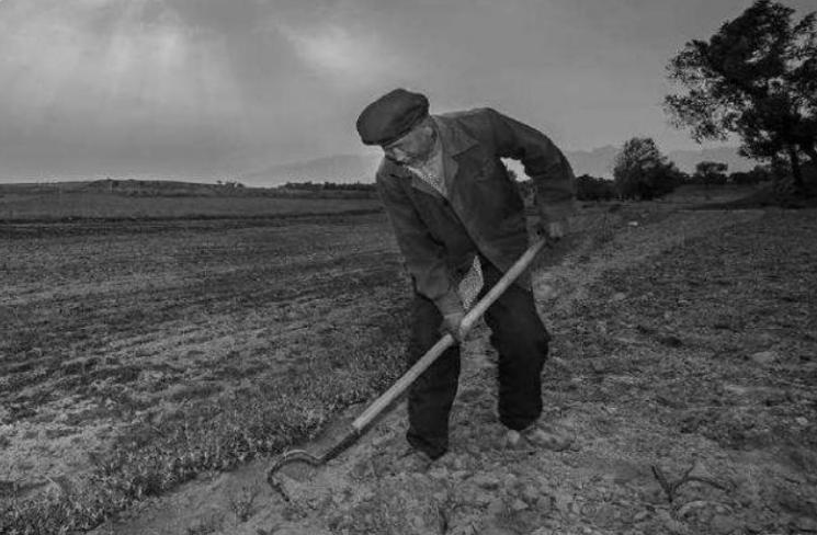1958年，湖北恩施地区的一家供销合作社内，店主将两斤食盐交付给一位中年男子，随