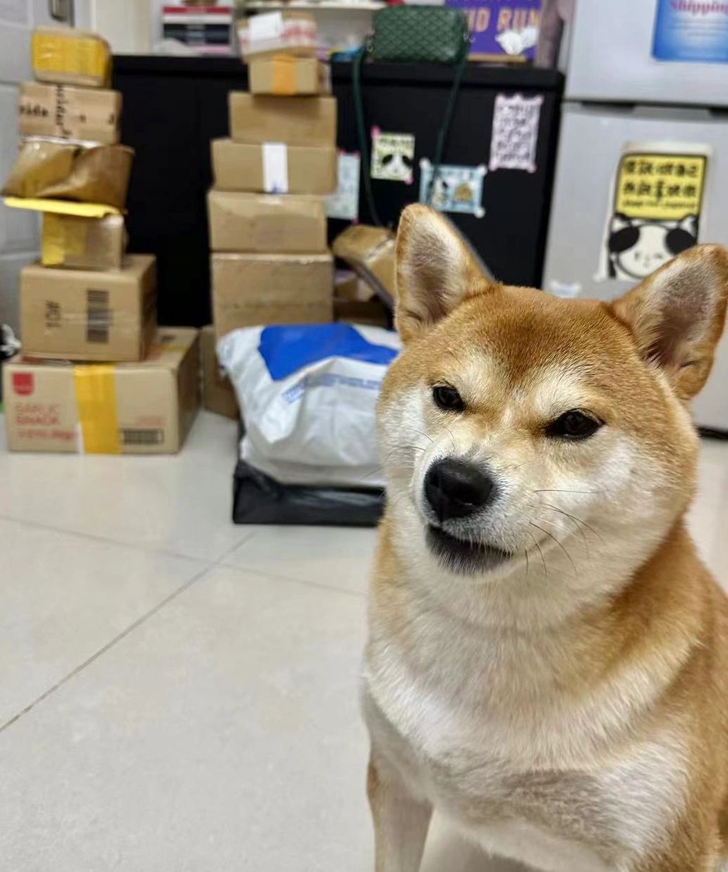 哥的冷酷 零下十八度